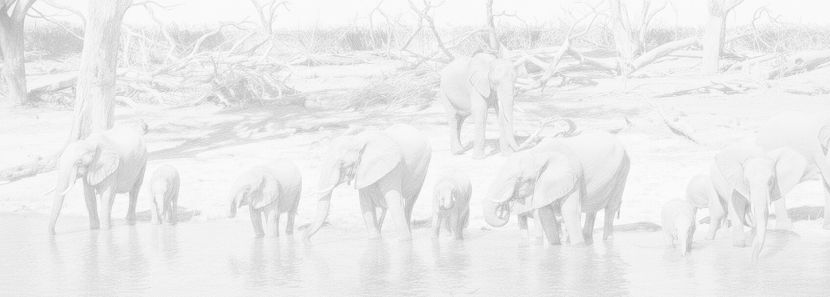 Demande de visa pour Botswana et conditions d'obtention