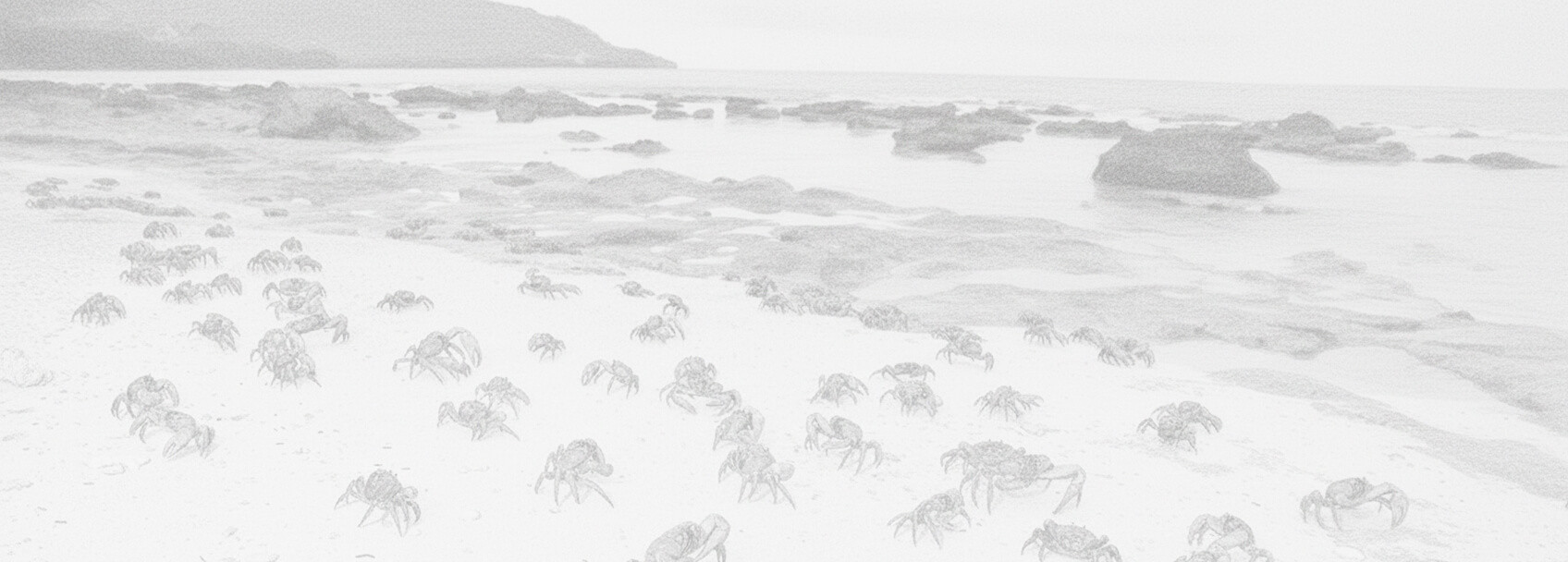 Demande de visa pour Île Christmas et conditions d'obtention